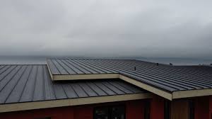 Best Asphalt Shingle Roofing  in Priest River, ID